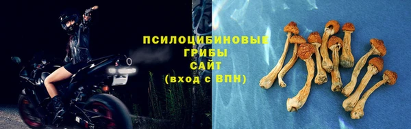 молекула духа Белоозёрский