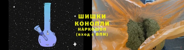 ГАЛЛЮЦИНОГЕННЫЕ ГРИБЫ Бородино