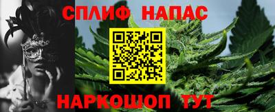 альфа пвп Заводоуковск
