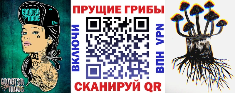 где продают   Надым  блэк спрут tor  Псилоцибиновые грибы Psilocybe 