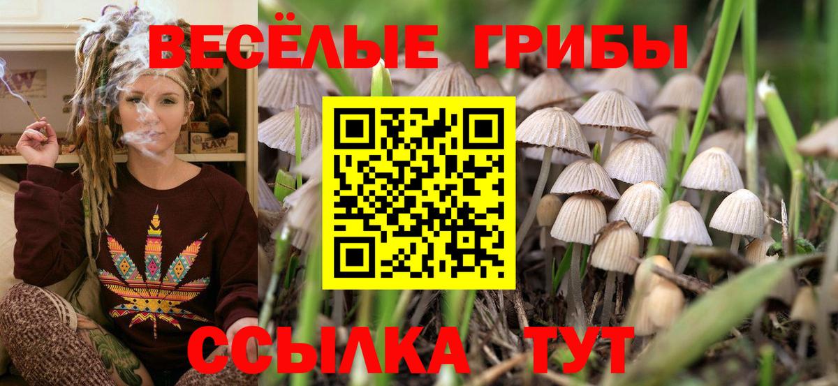 хочу наркоту  Вход с VPN  Надым  Галлюциногенные грибы ЛСД 