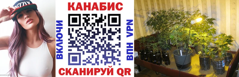 MEGA ССЫЛКА  хочу наркоту  Надым  Канабис AK-47 